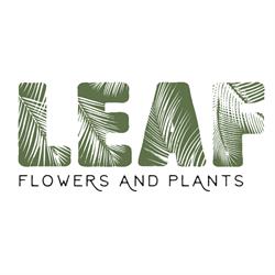 Leaf Shop, Cluj-Napoca