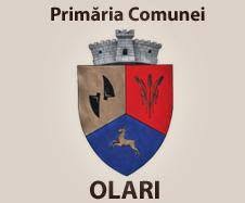 Primaria Olari