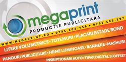 MegaPrint, Mărăcineni