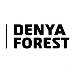 Denya Forest, Timişoara