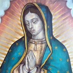 Regina Pacii, Timişoara