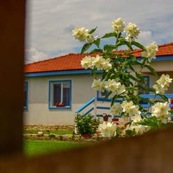 Casa de la Balta, Vişina