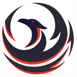Phoenix Detailing - Polish auto si Protectie Ceramica, Braşov