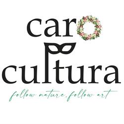 Caro Cultura, Bucureşti