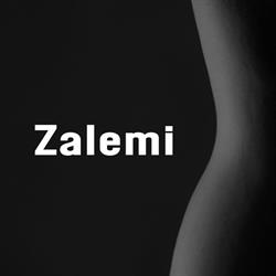 Zalemi.ro, Botoşani