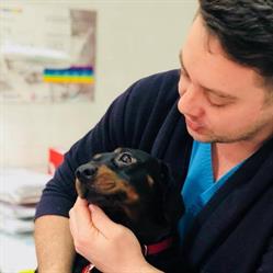 Cabinet Veterinar Picovet, Bucureşti