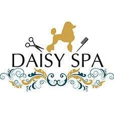 Daisy Spa (Dog grooming), Bucureşti