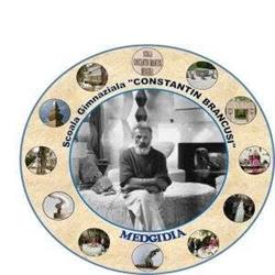 Scoala Constantin Brancusi Medgidia