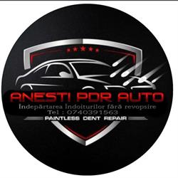ANESTI PDR AUTO, Techirghiol