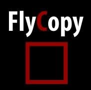 Flycopy, Bucureşti