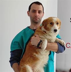 Cabinet Veterinar Cuore Pet Vet, Gura Humorului