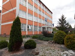 Colegiul National Avram Iancu Stei