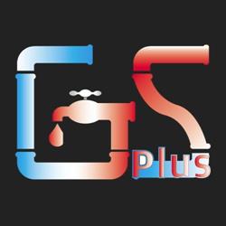 GsPlus, Timişoara