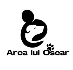 Arca lui Oscar, Siret