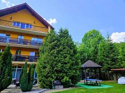 Vila Raluca, Moneasa