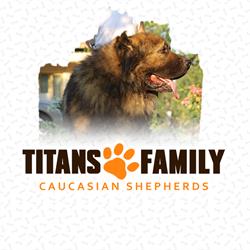 Titans Family - Caucasian Shepherd Dogs, Mihai Vodă