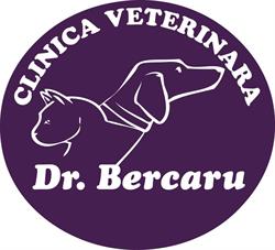 Dr. Bercaru, Bucureşti