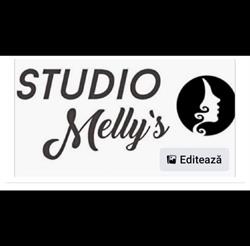 Studio Melly's, Satu Mare