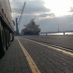 Sc Energy Fast N&G Transport S.R.L, Rona de Sus