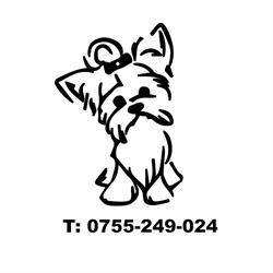 Frizerie Canina Bacau