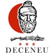 Pensiunea Deceneu, Slănic