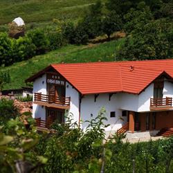 Casa din Vii, Şeuşa