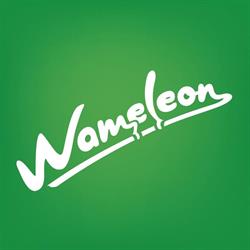 Wameleon Design - Design studio, Sfântu Gheorghe