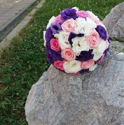 Floraria cu Fluturi, Bocşa