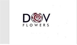 Dov flowers, Recaş