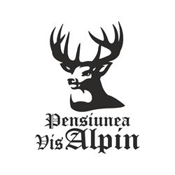 Pensiunea Vis Alpin, Beliş