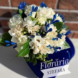 Floraria Stefara, Paşcani