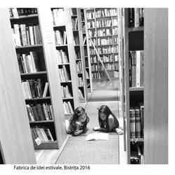 Biblioteca Judeţeană George Coşbuc, Bistriţa