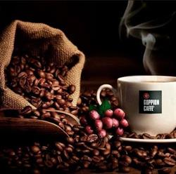 Cubo Caffe, Tecuci