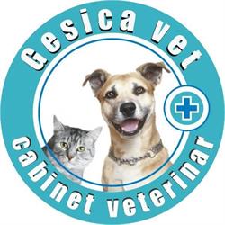 Gesica Vet&Co service, Bucureşti