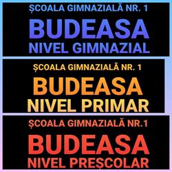 Scoala Gimnaziala Nr.1 Budeasa Mare