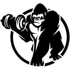 Gorilla Sports Romania, Ploieşti
