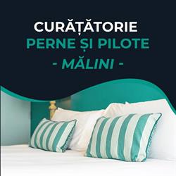 Curatatorie perne si pilote Malini