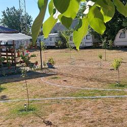 LAZY Camping, Greci