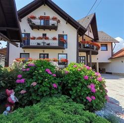 Casa Baraceanu Bran