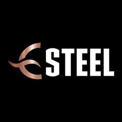Esteel, Timişoara