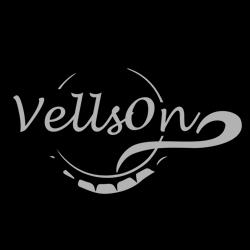 Casa vellson, Bucureşti