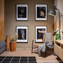 Casa269b, Moieciu de Jos