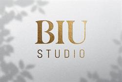 BIU Studio, Timişoara