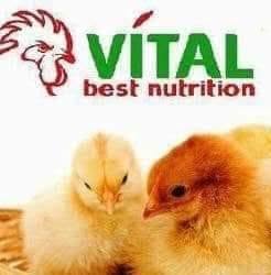 Vítal Best Nutrition, Craiova