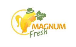 Magnum Fresh, Timişoara