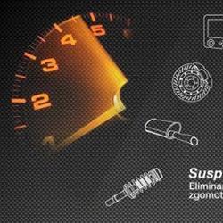 Paddock Service Auto, Timişoara