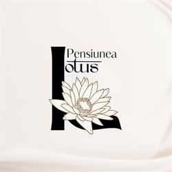 Pensiunea Lotus, Bogata