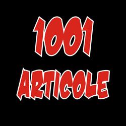 Magazinele 1001 Articole, Petroşani