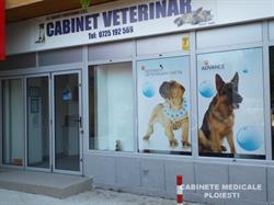 Cabinet Veterinar Dailvet Profesional, Ploieşti