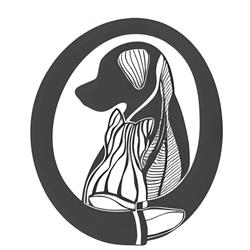 PhysioVet, Oradea